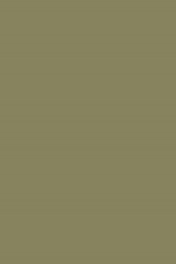 1134 BRUSH GOLD